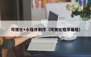 日喀则可视化+小程序制作（可视化程序编程）
